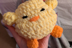 sparklie chickie