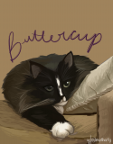 buttercup1