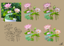 water-lilies1