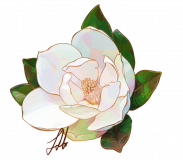 white-magnolia-transparent