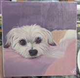 PXL_20250607_175313926.MP_