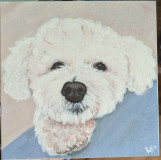 PXL_20250619_221100495.MP_