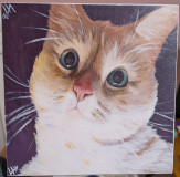 PXL_20250713_151627240